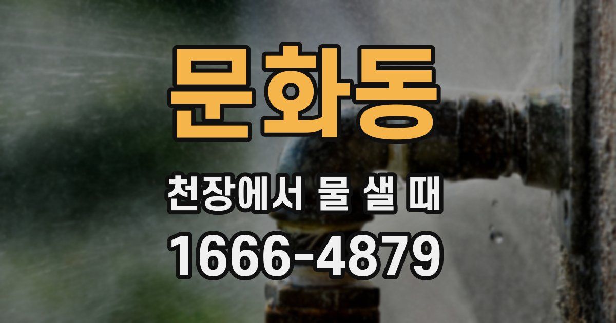 문화동 천장에서 물 샐 때