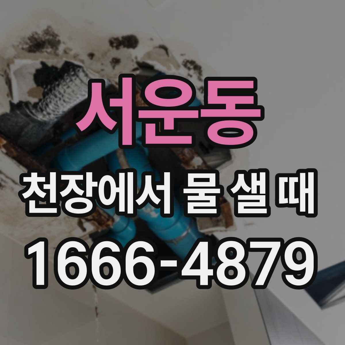 서운동 천장에서 물 샐 때