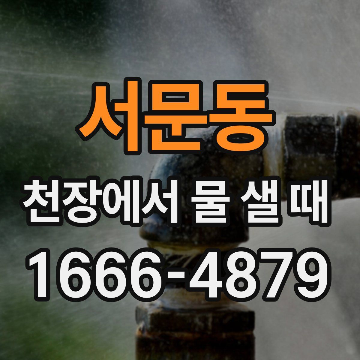 서문동 천장에서 물 샐 때