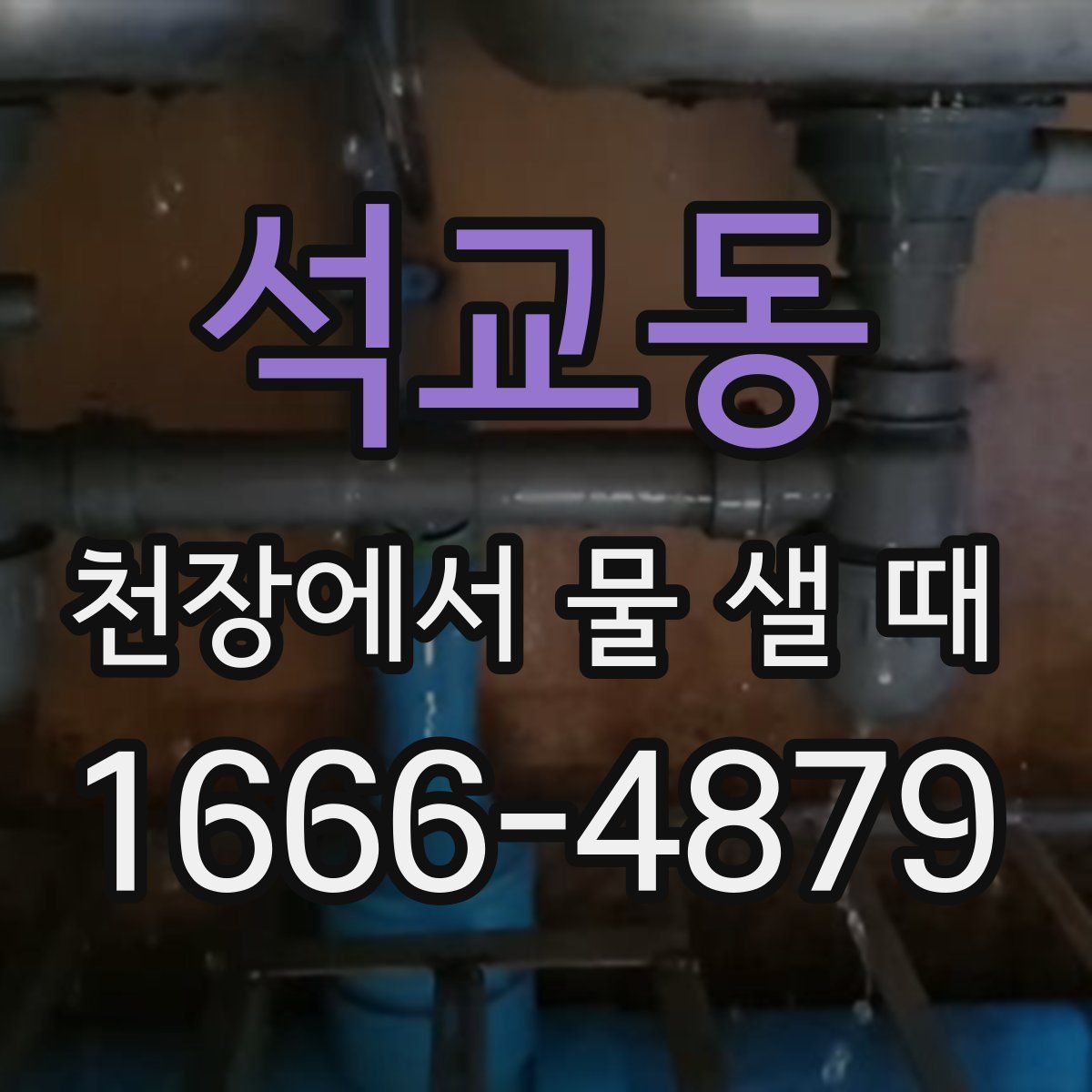 석교동 천장에서 물 샐 때