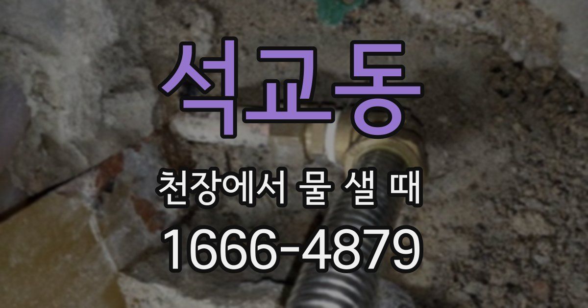 석교동 천장에서 물 샐 때