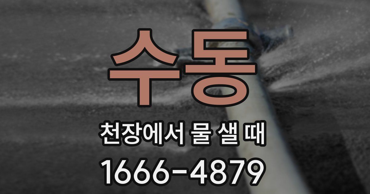 수동 천장에서 물 샐 때