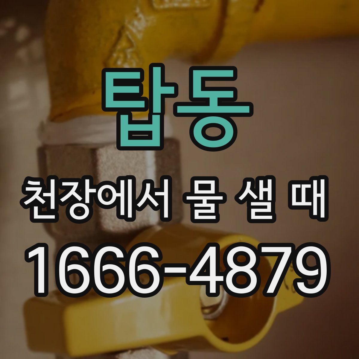 탑동 천장에서 물 샐 때