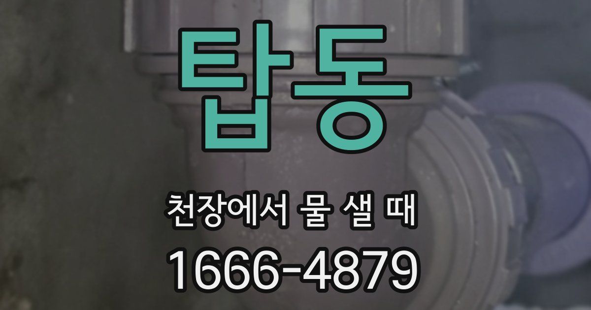 탑동 천장에서 물 샐 때