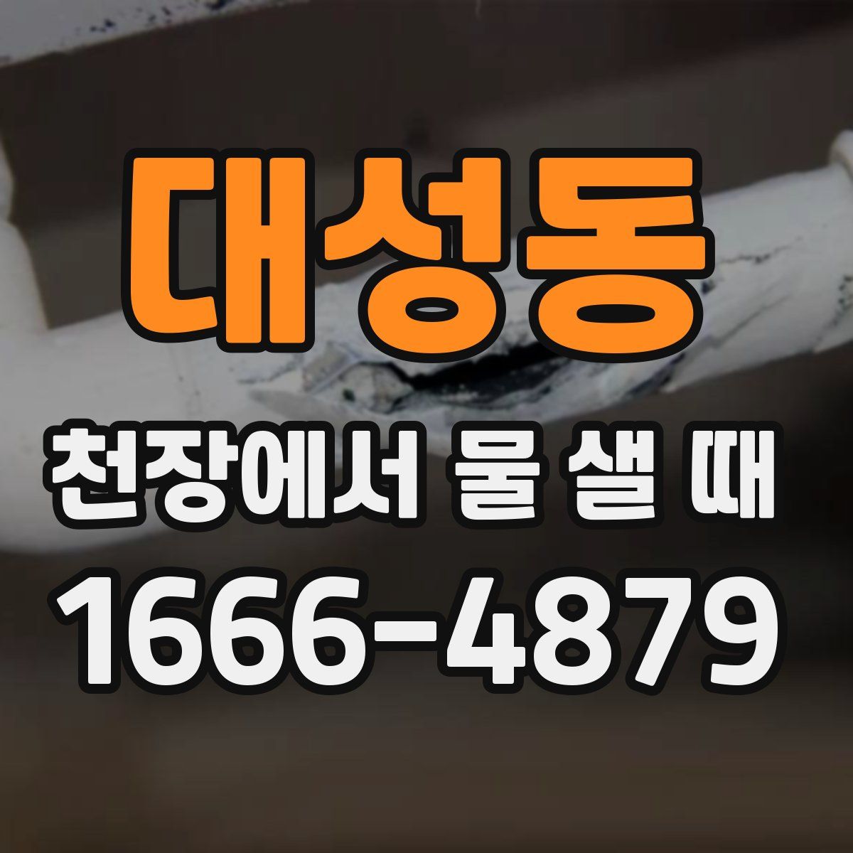 대성동 천장에서 물 샐 때