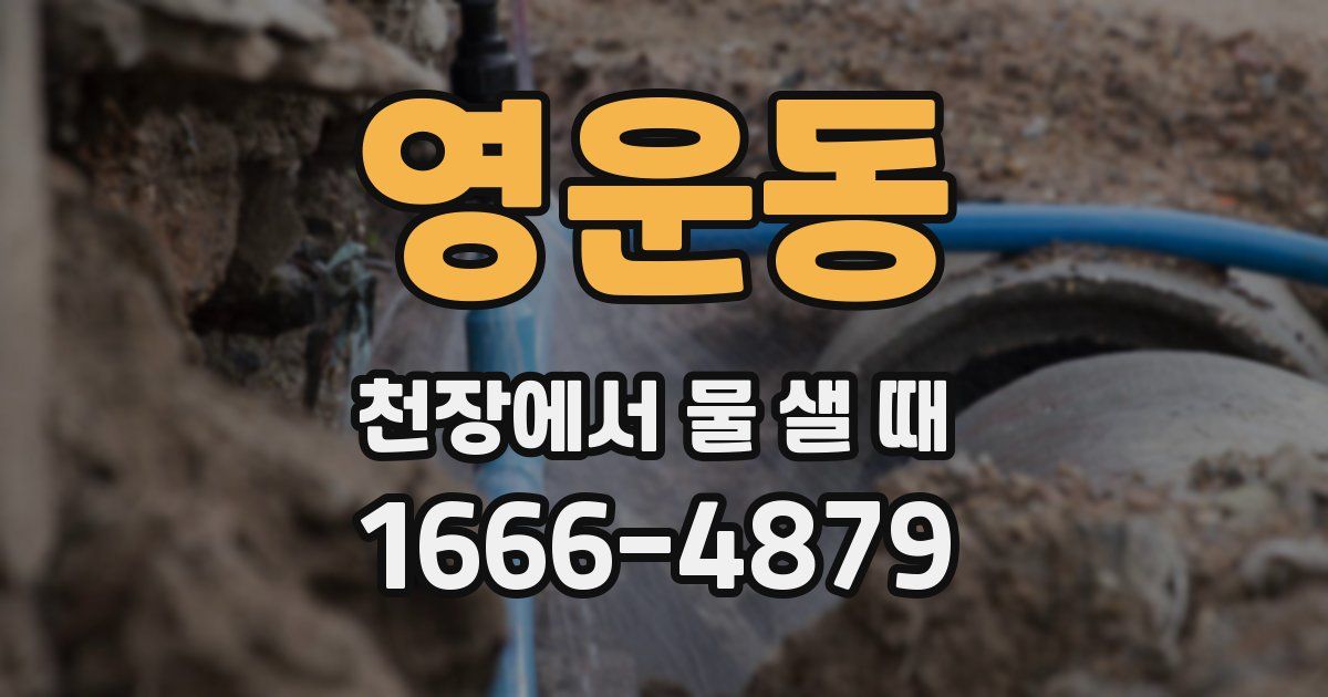 영운동 천장에서 물 샐 때