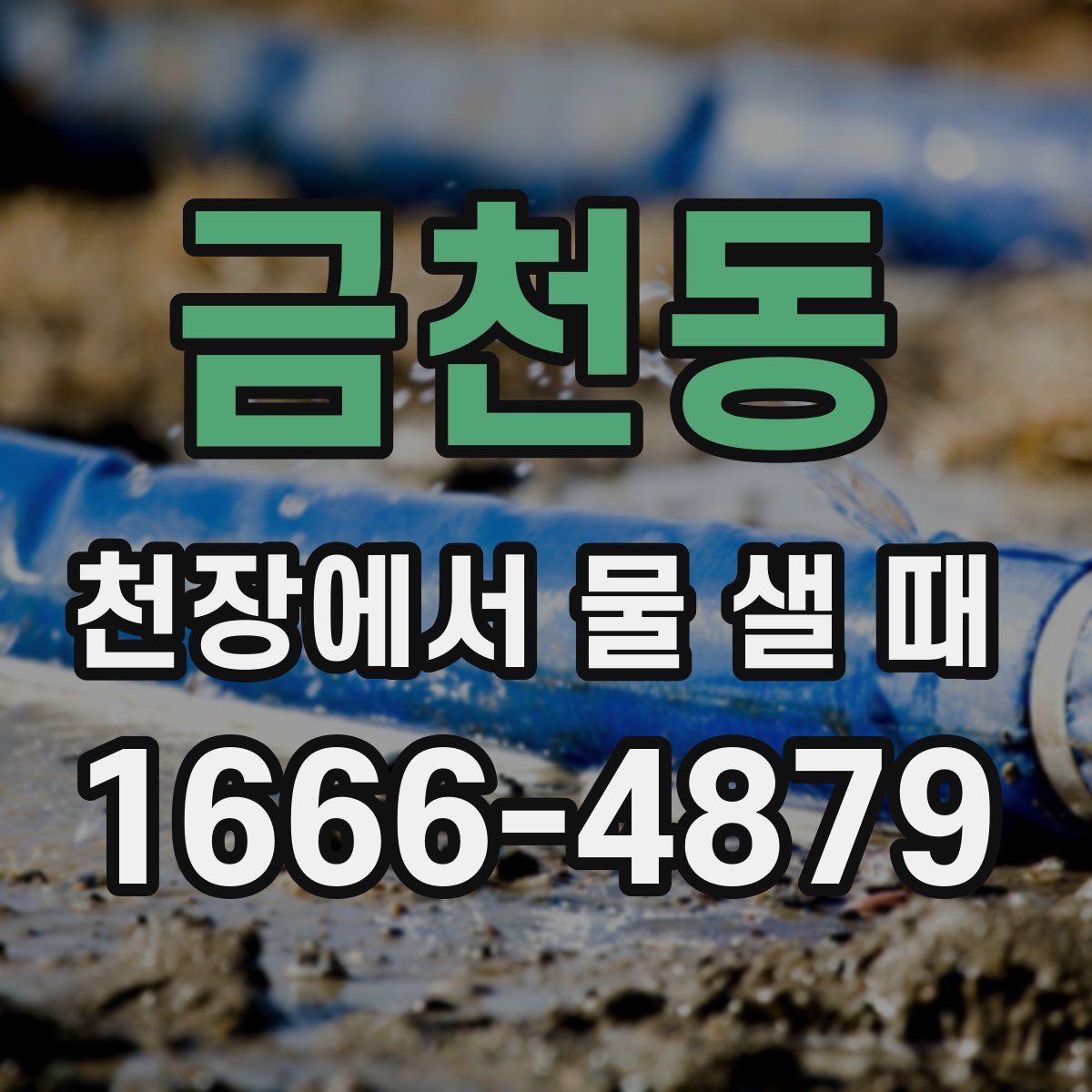 금천동 천장에서 물 샐 때