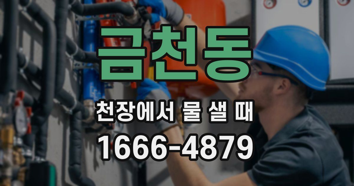 금천동 천장에서 물 샐 때