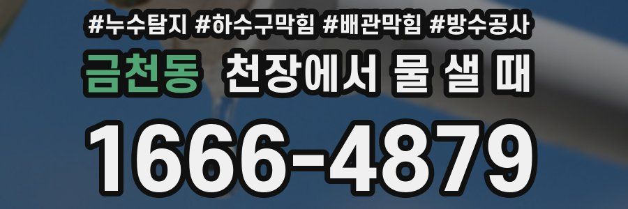 금천동 천장에서 물 샐 때