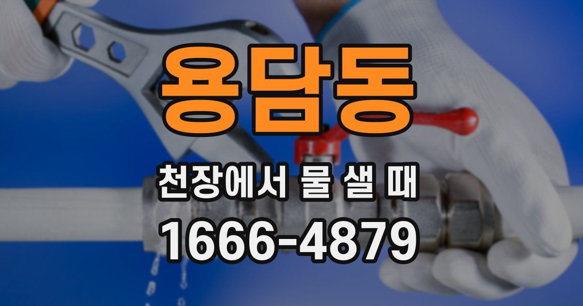 용담동 천장에서 물 샐 때