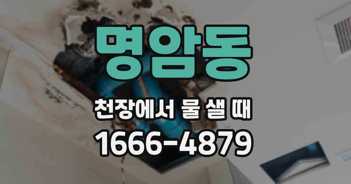 명암동 천장에서 물 샐 때