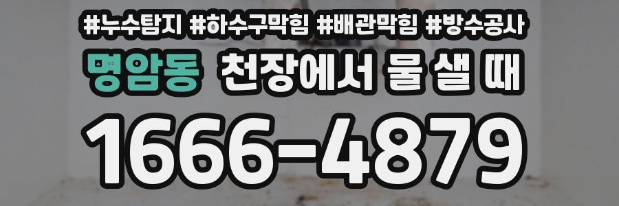 명암동 천장에서 물 샐 때