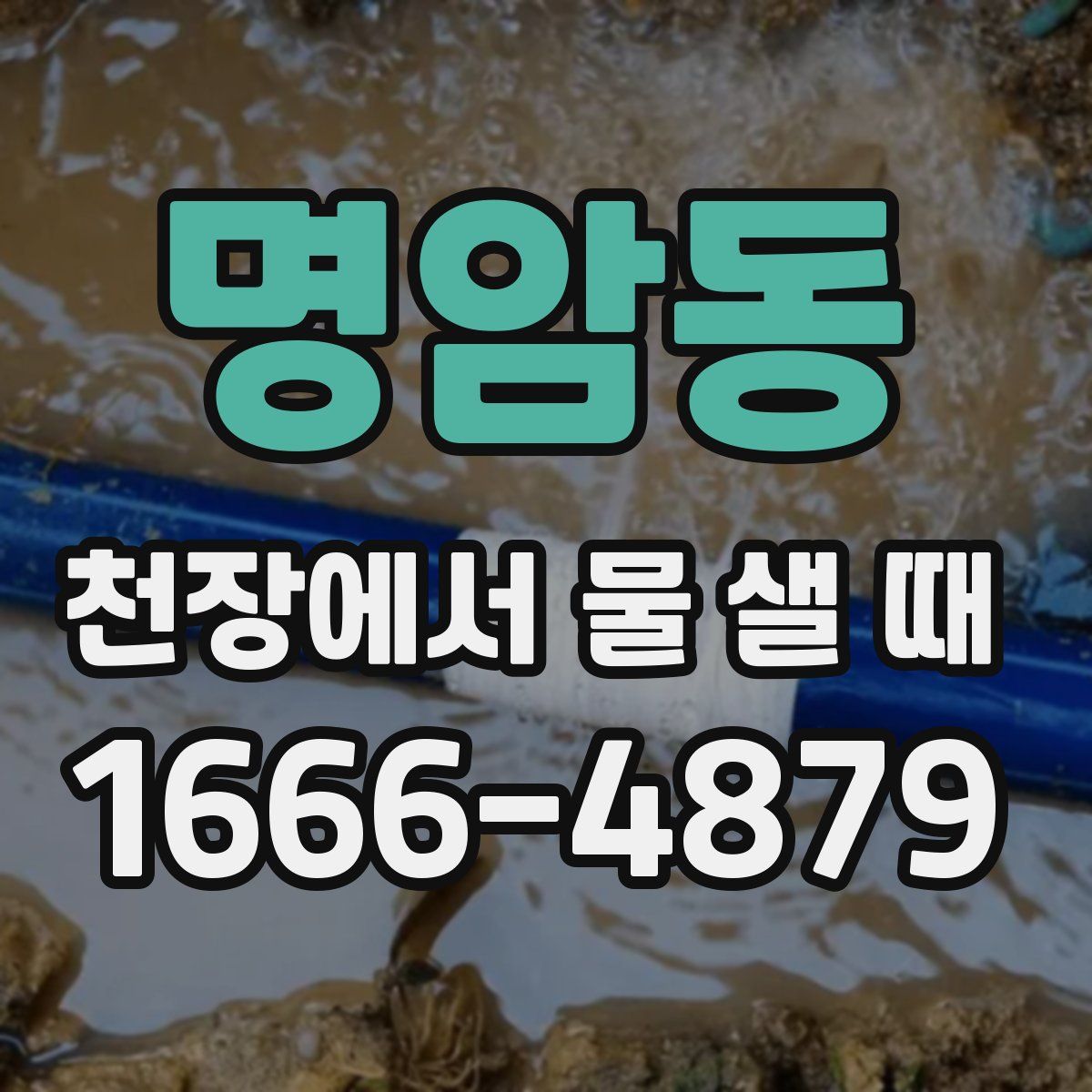 명암동 천장에서 물 샐 때