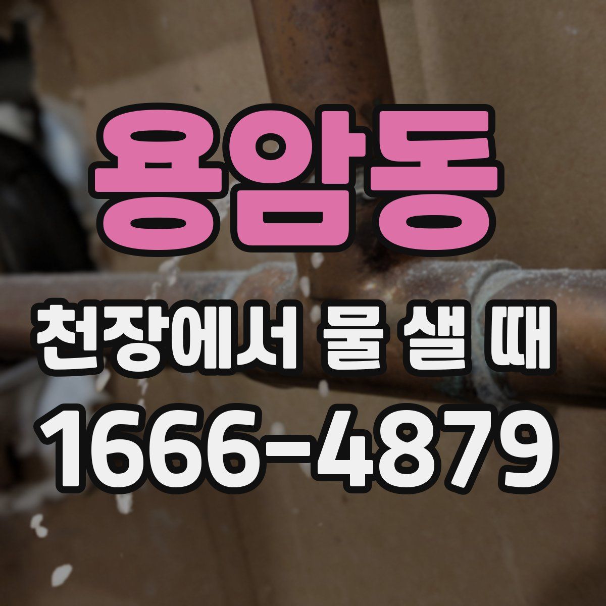 용암동 천장에서 물 샐 때