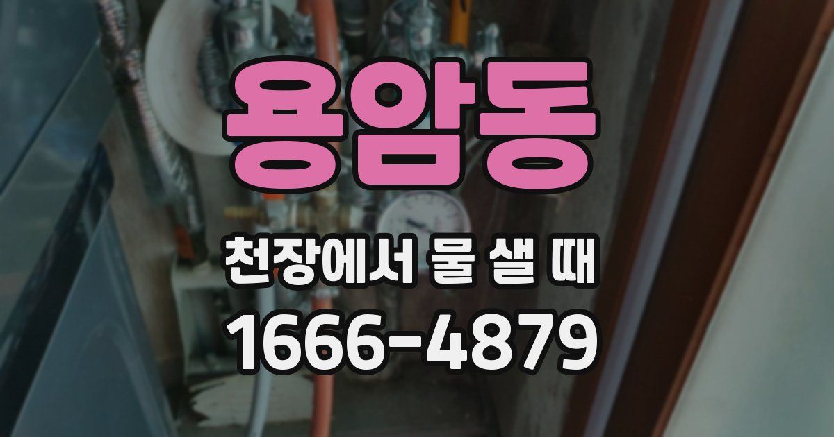용암동 천장에서 물 샐 때