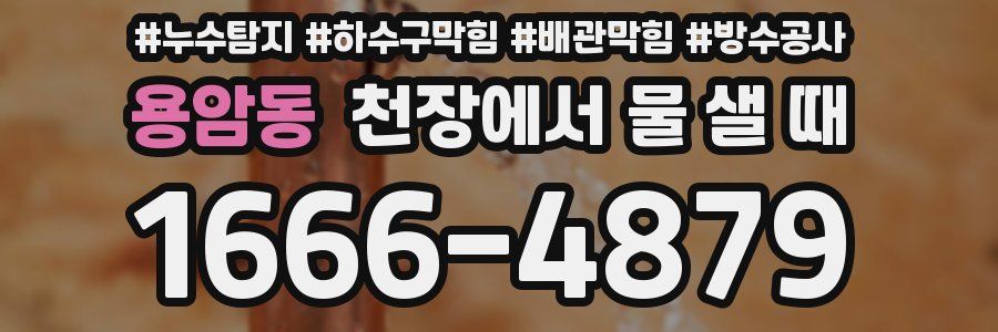 용암동 천장에서 물 샐 때