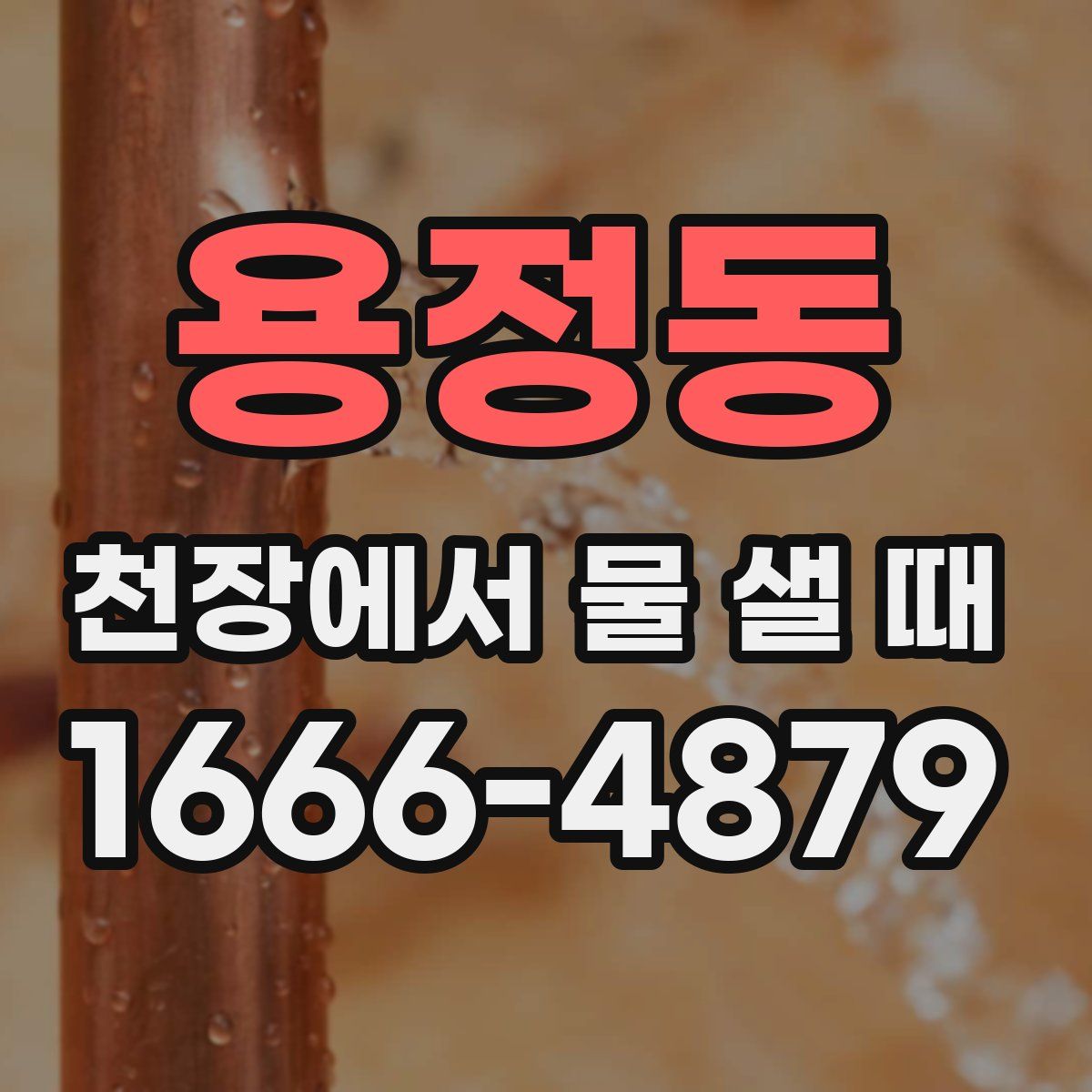 용정동 천장에서 물 샐 때
