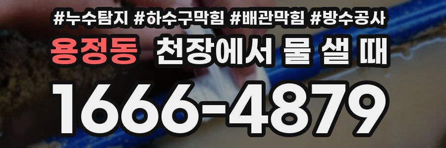 용정동 천장에서 물 샐 때