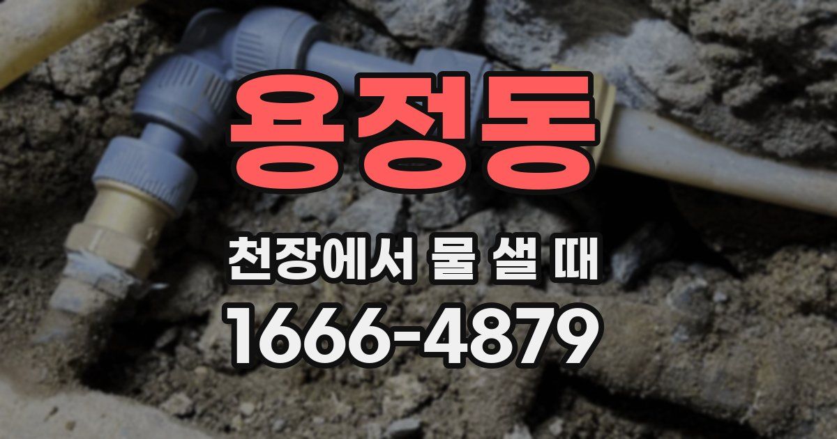 용정동 천장에서 물 샐 때