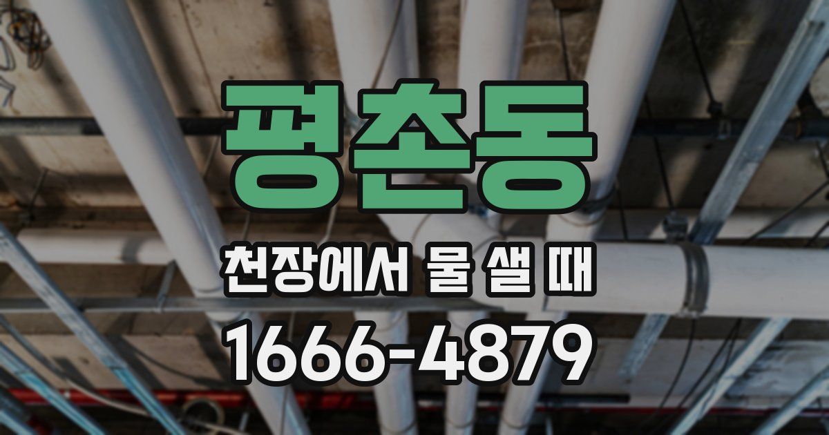 평촌동 천장에서 물 샐 때