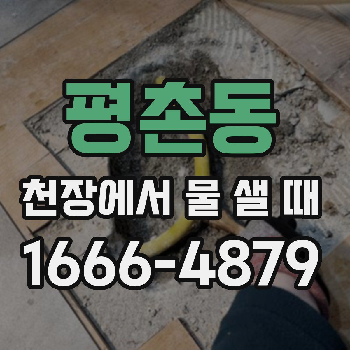 평촌동 천장에서 물 샐 때
