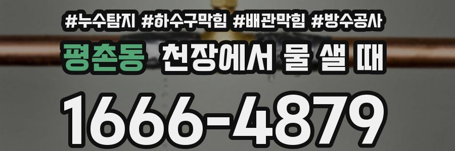 평촌동 천장에서 물 샐 때