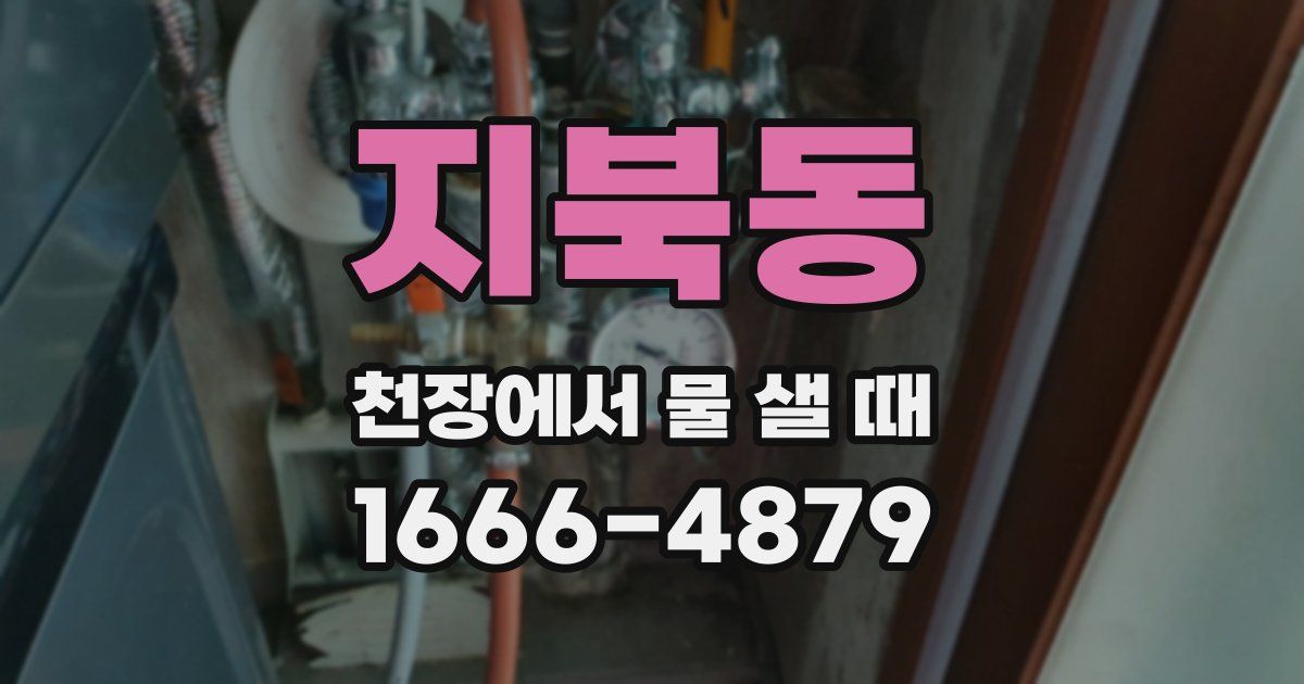 지북동 천장에서 물 샐 때
