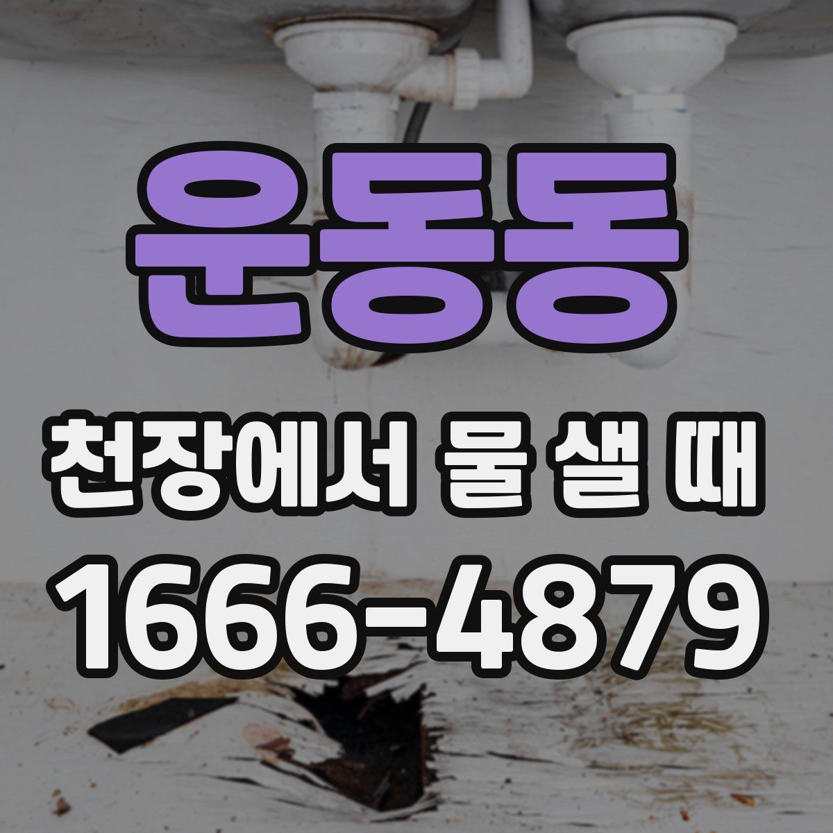 운동동 천장에서 물 샐 때