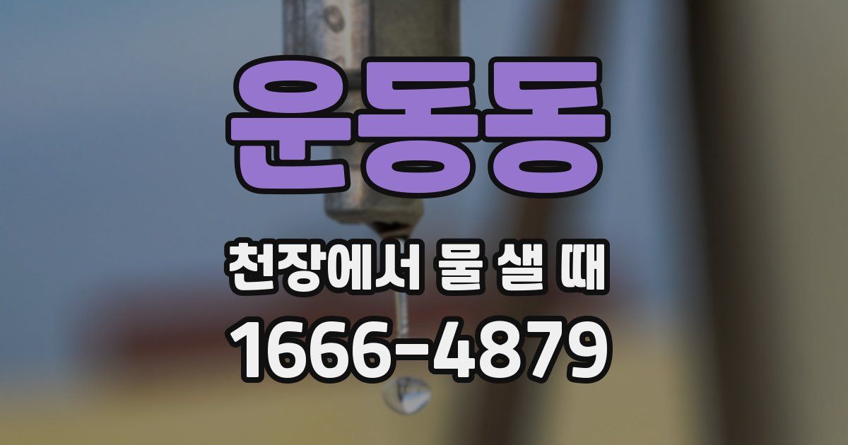 운동동 천장에서 물 샐 때