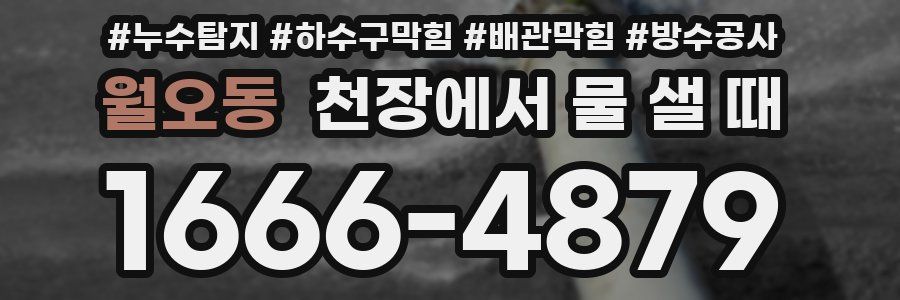 월오동 천장에서 물 샐 때
