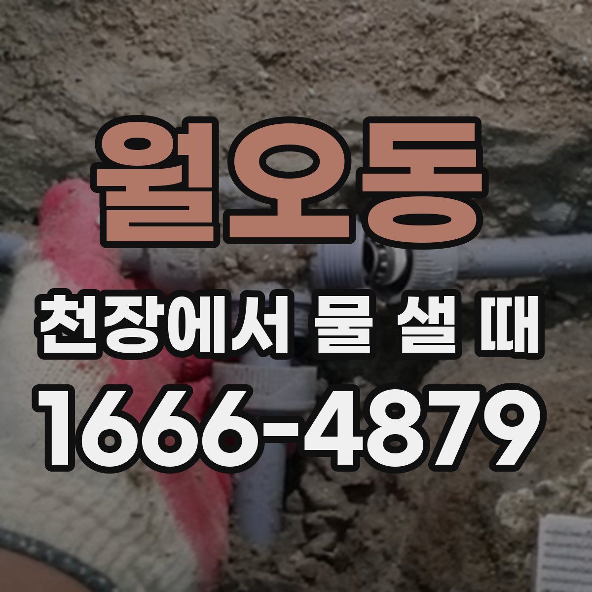 월오동 천장에서 물 샐 때