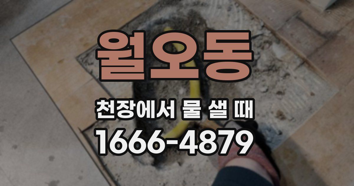 월오동 천장에서 물 샐 때