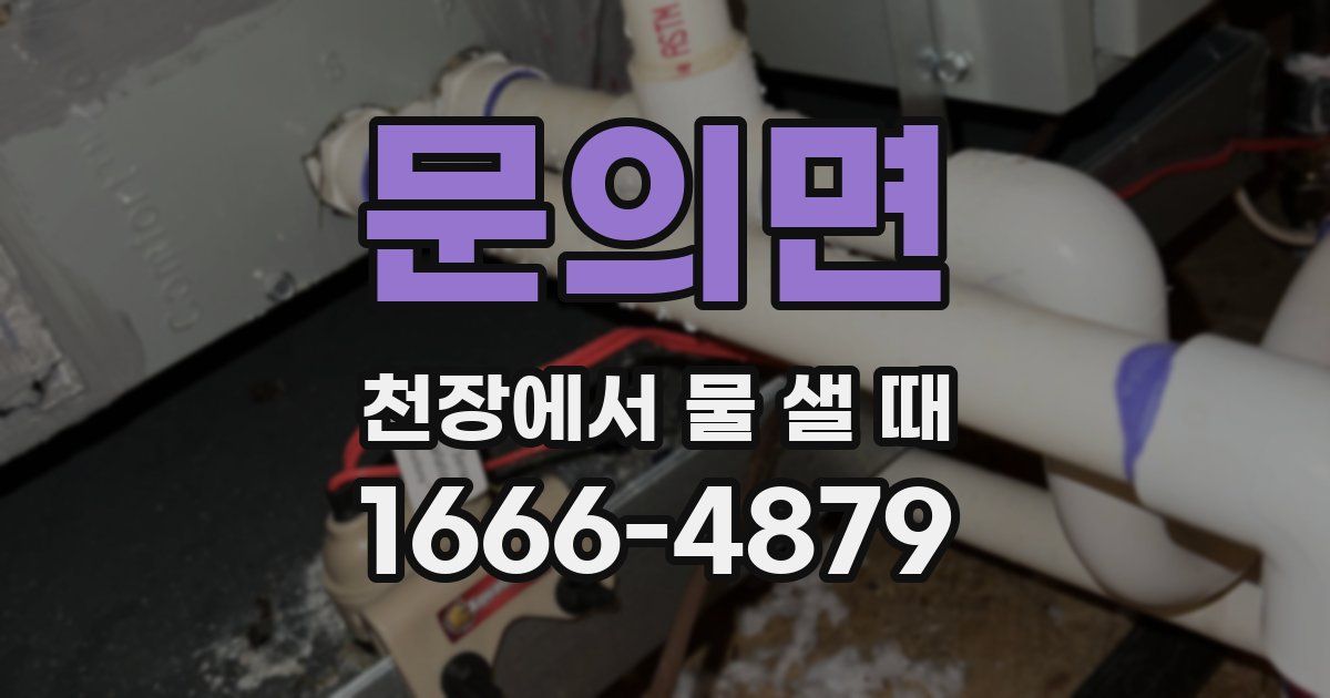문의면 천장에서 물 샐 때