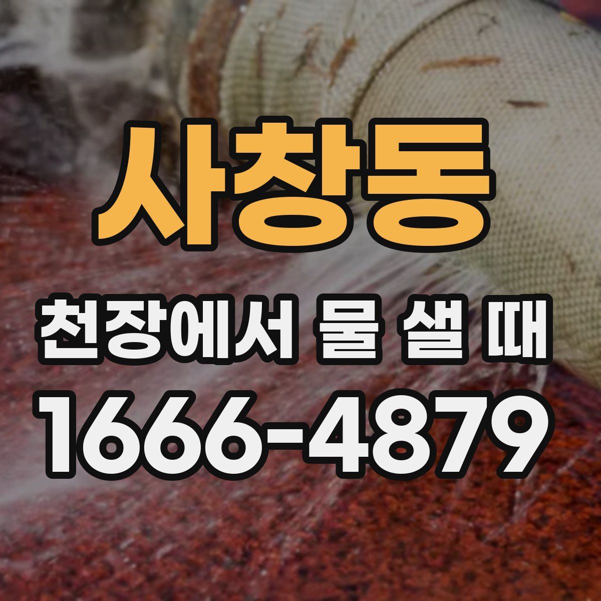 사창동 천장에서 물 샐 때