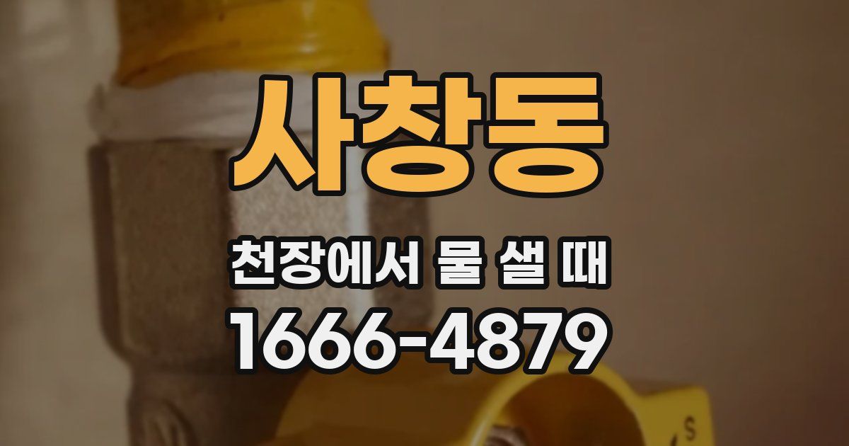 사창동 천장에서 물 샐 때