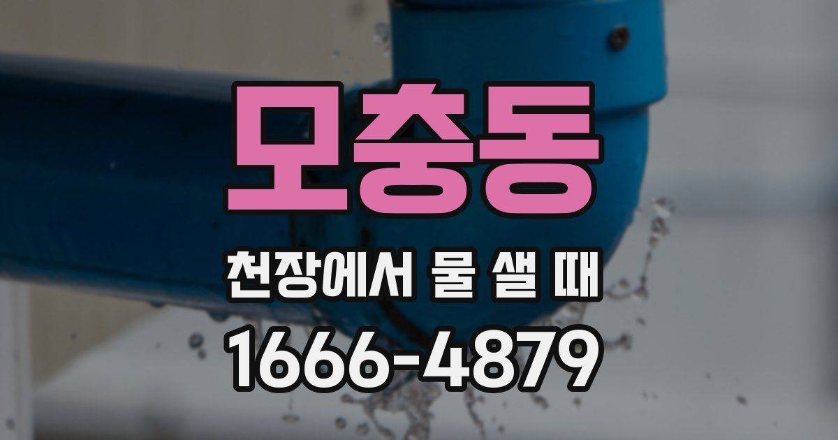 모충동 천장에서 물 샐 때