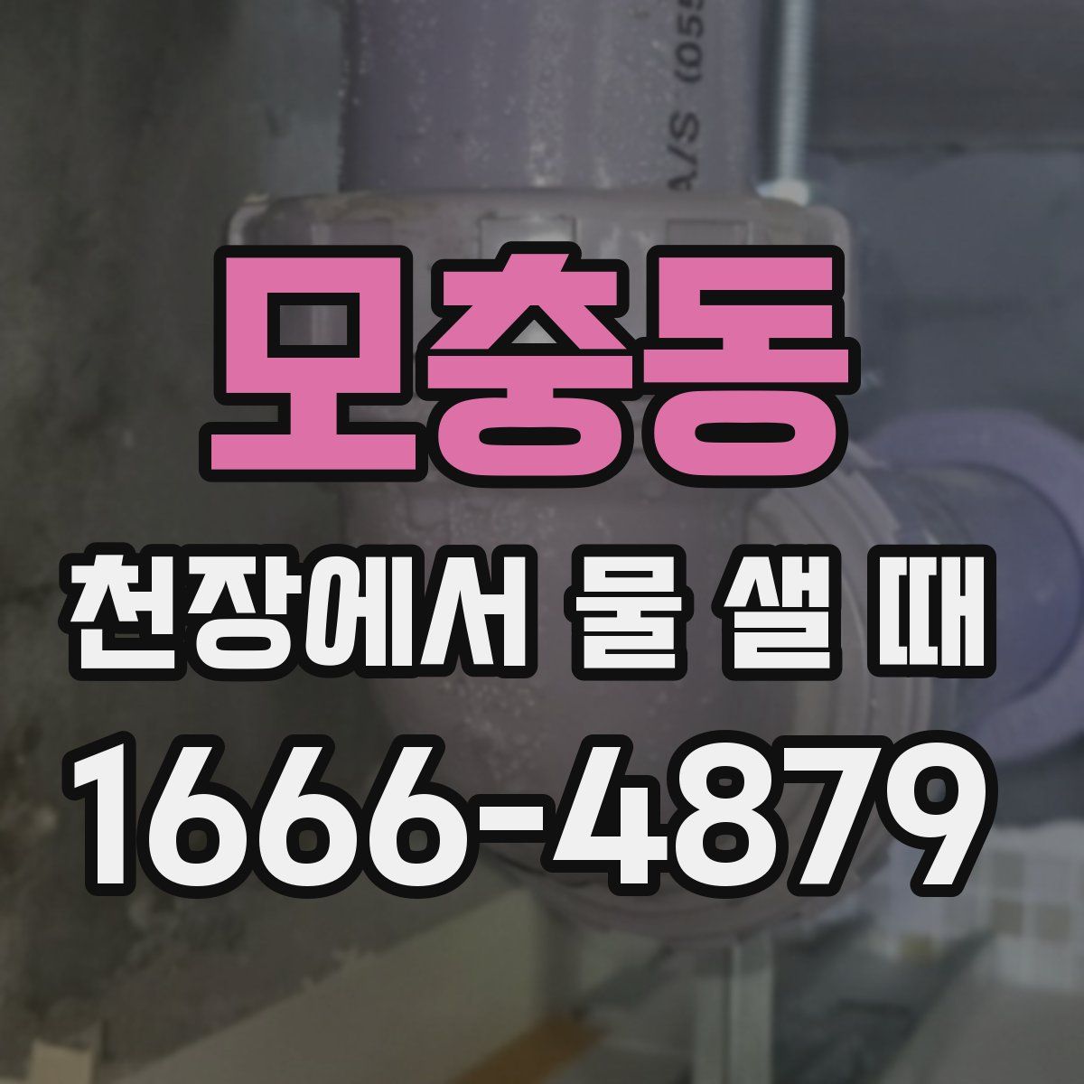 모충동 천장에서 물 샐 때