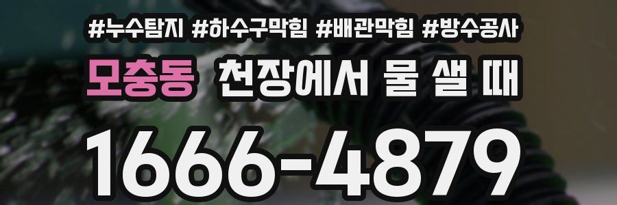 모충동 천장에서 물 샐 때