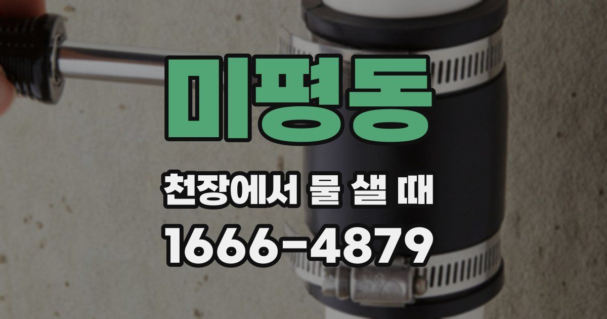 미평동 천장에서 물 샐 때
