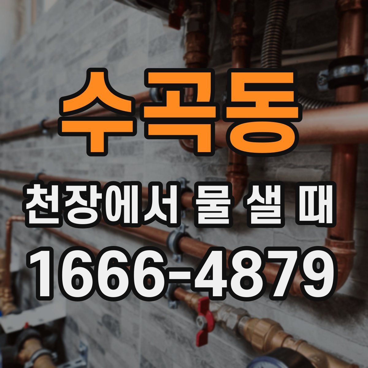 수곡동 천장에서 물 샐 때