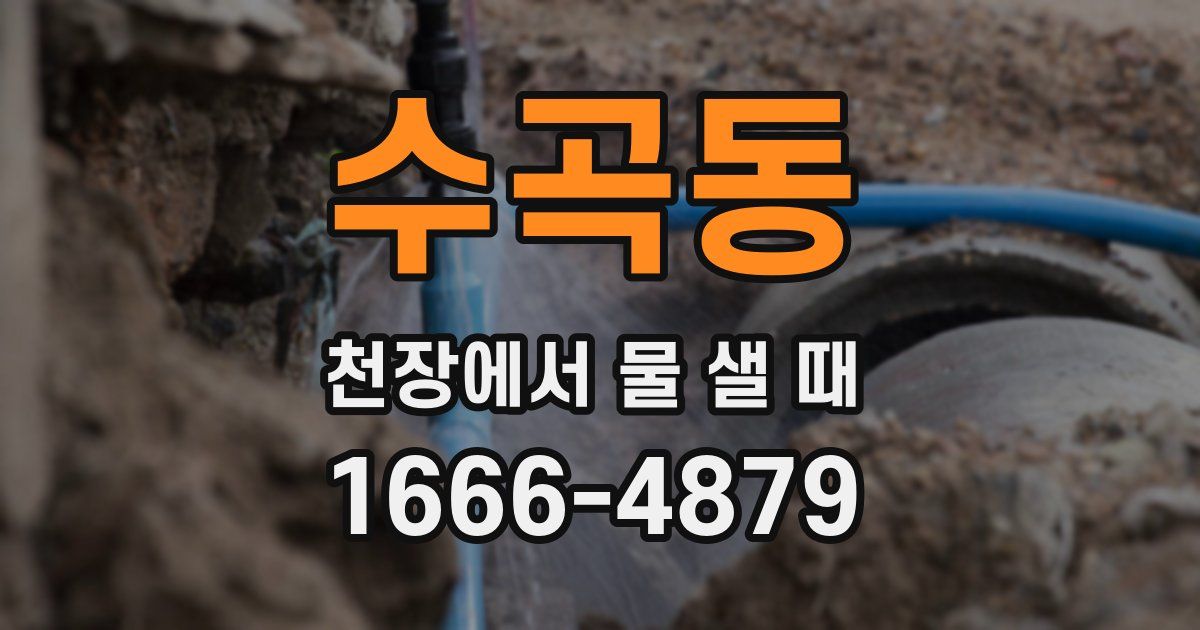 수곡동 천장에서 물 샐 때