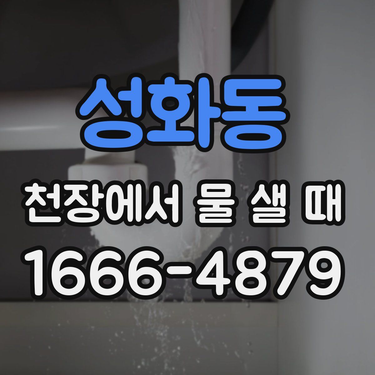 성화동 천장에서 물 샐 때