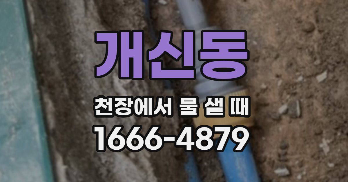 개신동 천장에서 물 샐 때