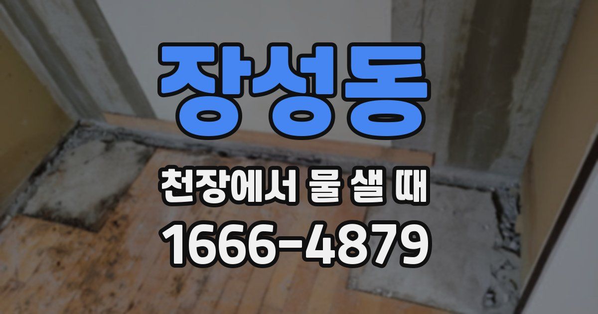 장성동 천장에서 물 샐 때