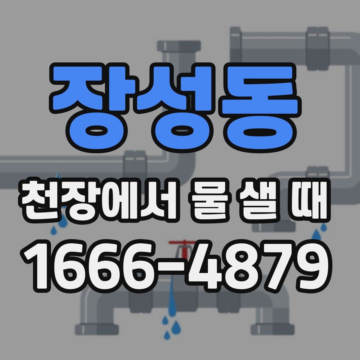 장성동 천장에서 물 샐 때