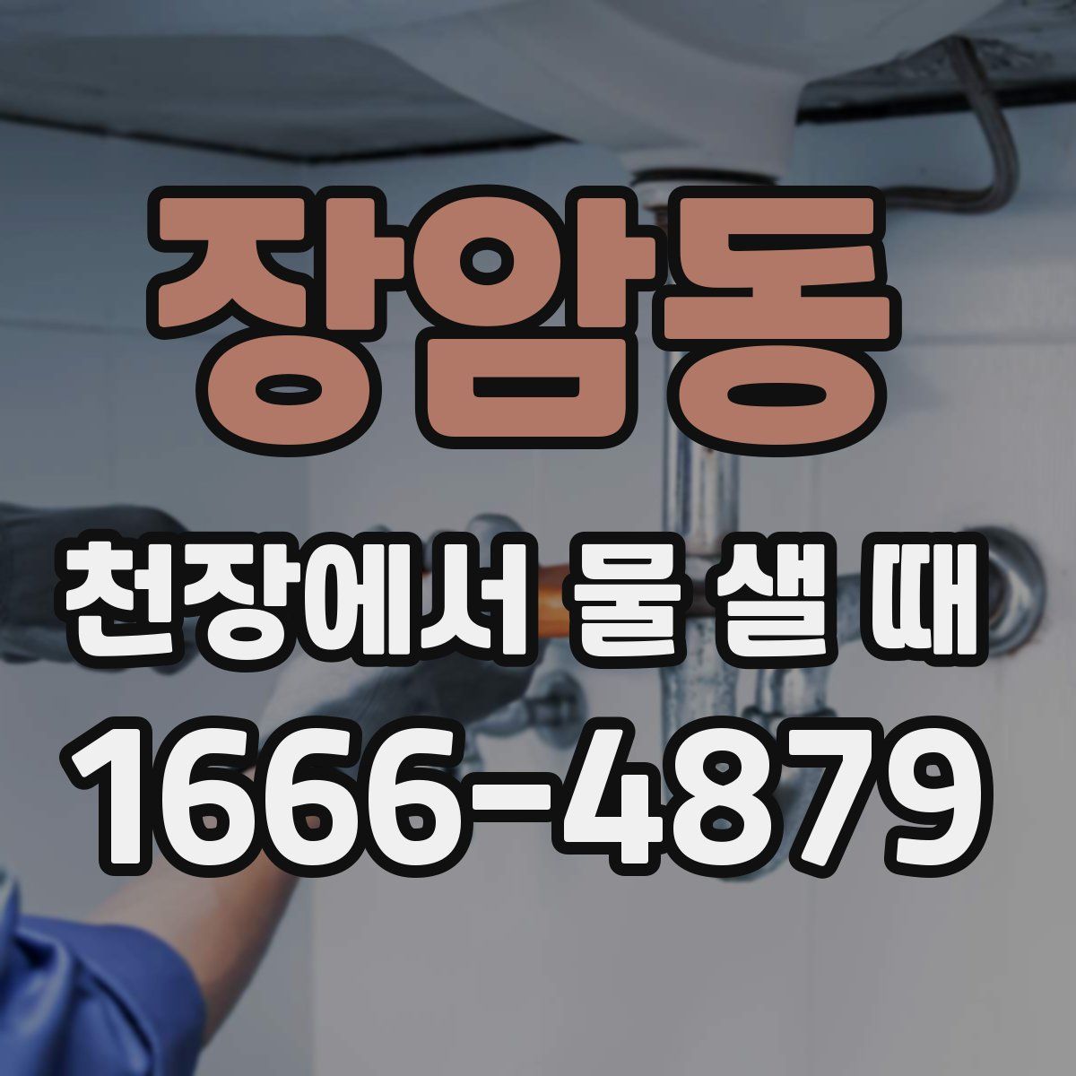 장암동 천장에서 물 샐 때