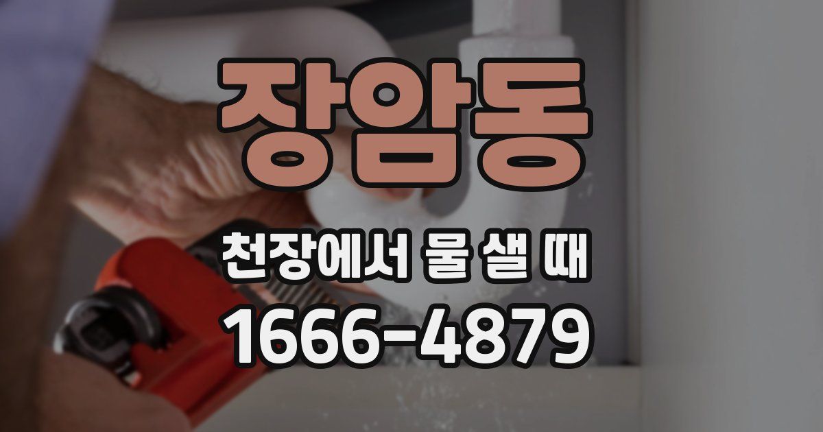 장암동 천장에서 물 샐 때