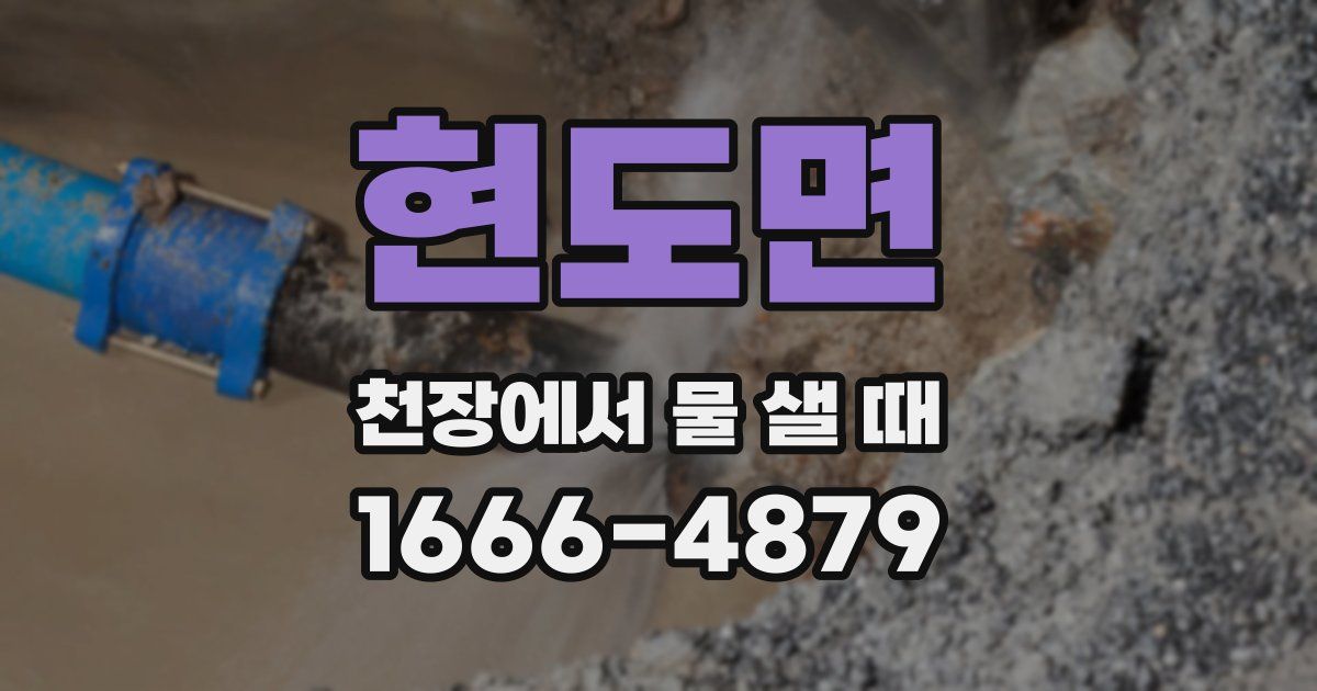 현도면 천장에서 물 샐 때