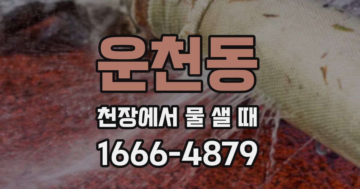 운천동 천장에서 물 샐 때