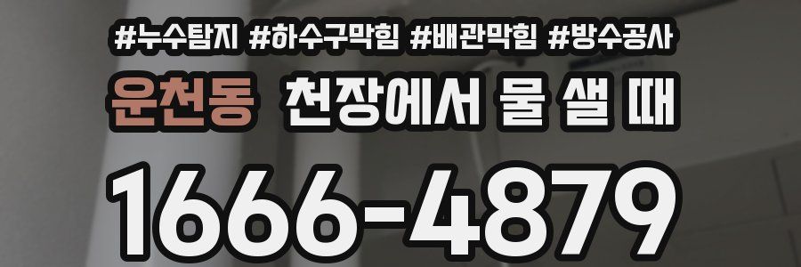 운천동 천장에서 물 샐 때